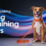 Useful dog training tips