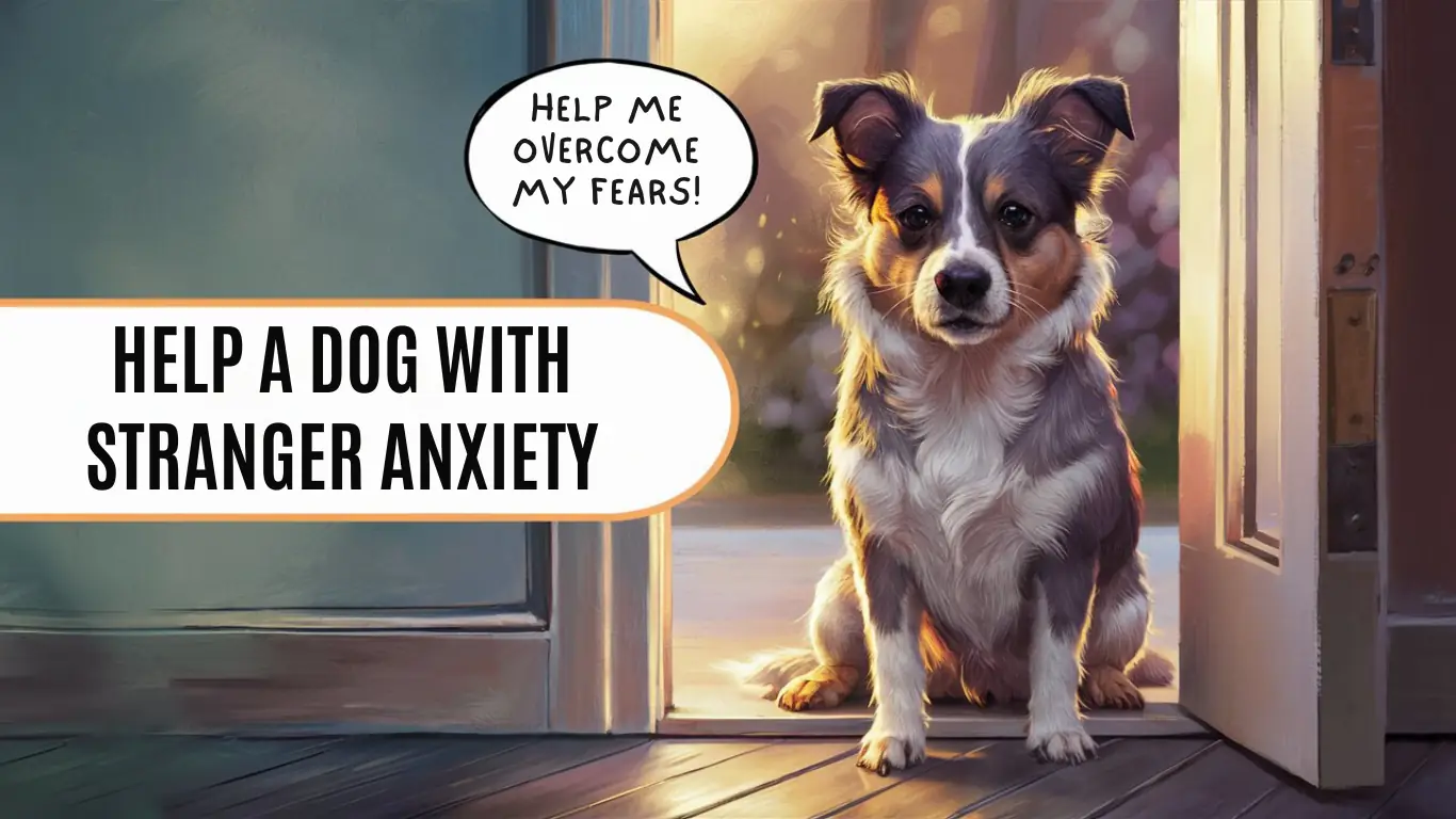 Dog with stranger anxiety