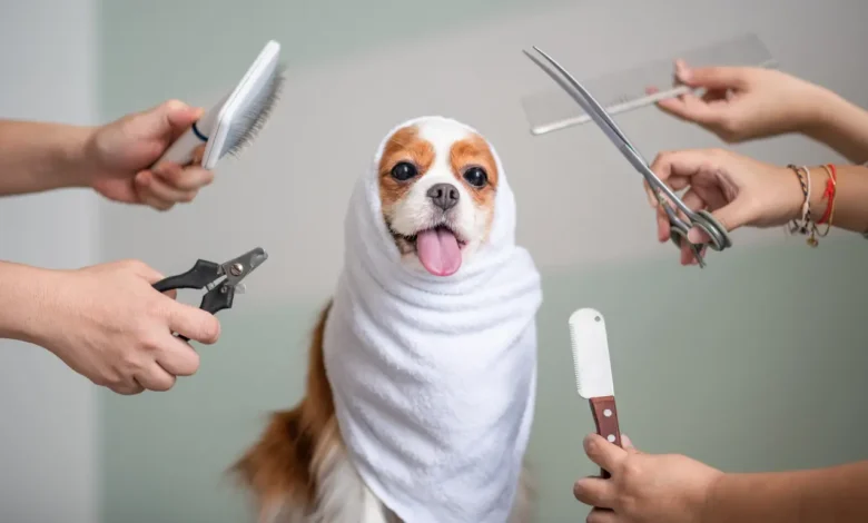 Dog grooming routine